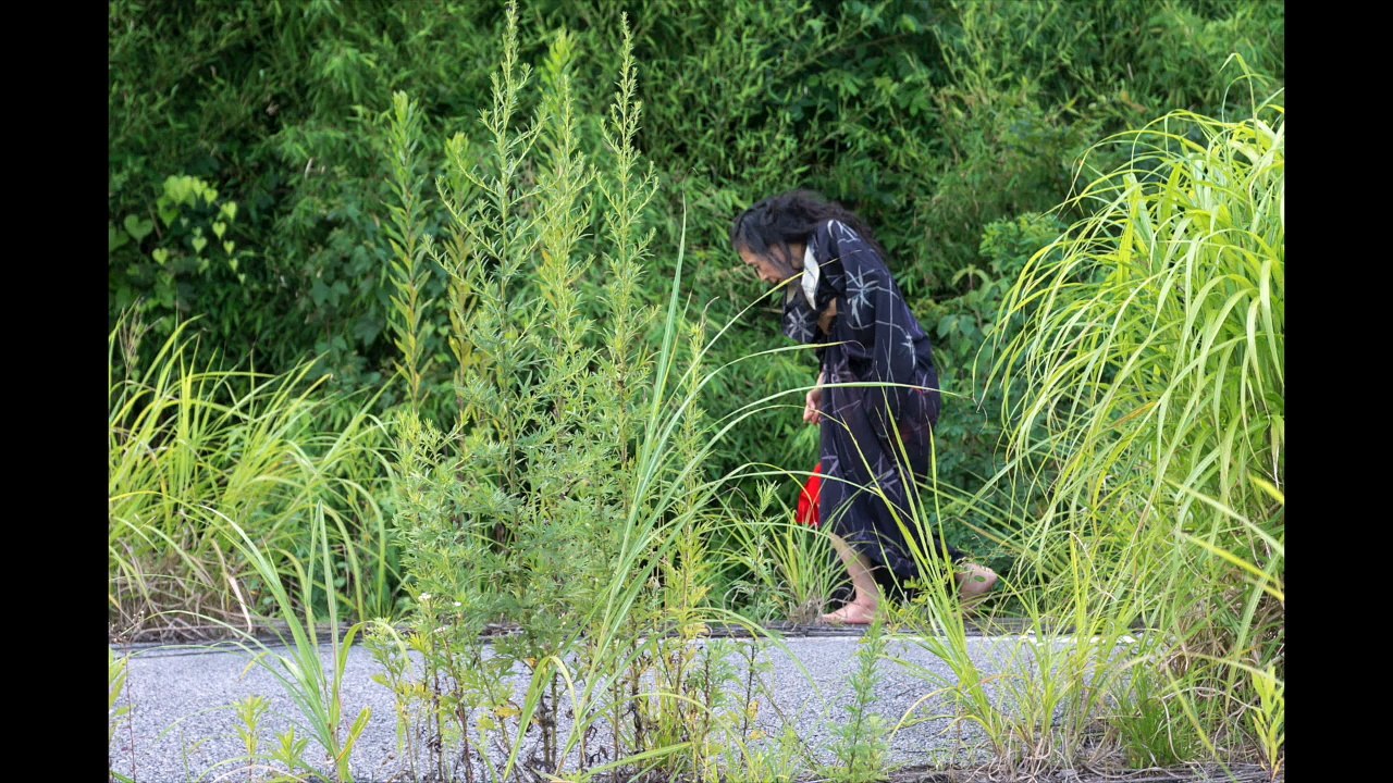 A Body in Fukushima  Momouchi Summer