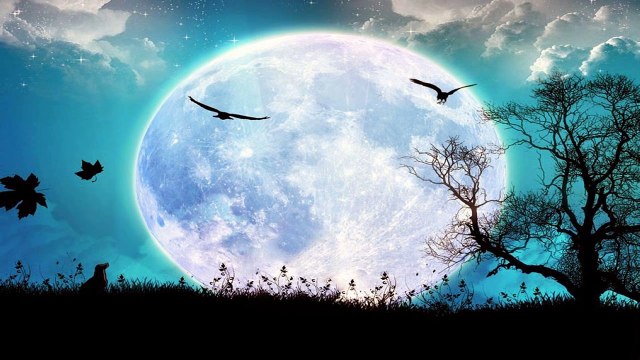 4 HEURES Musique pour Sommeil Dormir Relaxation ,musique pour profonde rêver #26 -2015