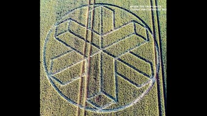 Рисунки на полях, Сассекс, Англия, 22 июня 2015г