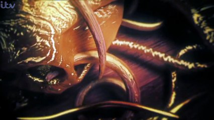 Beowulf-Return to Sheildlands_S01E07