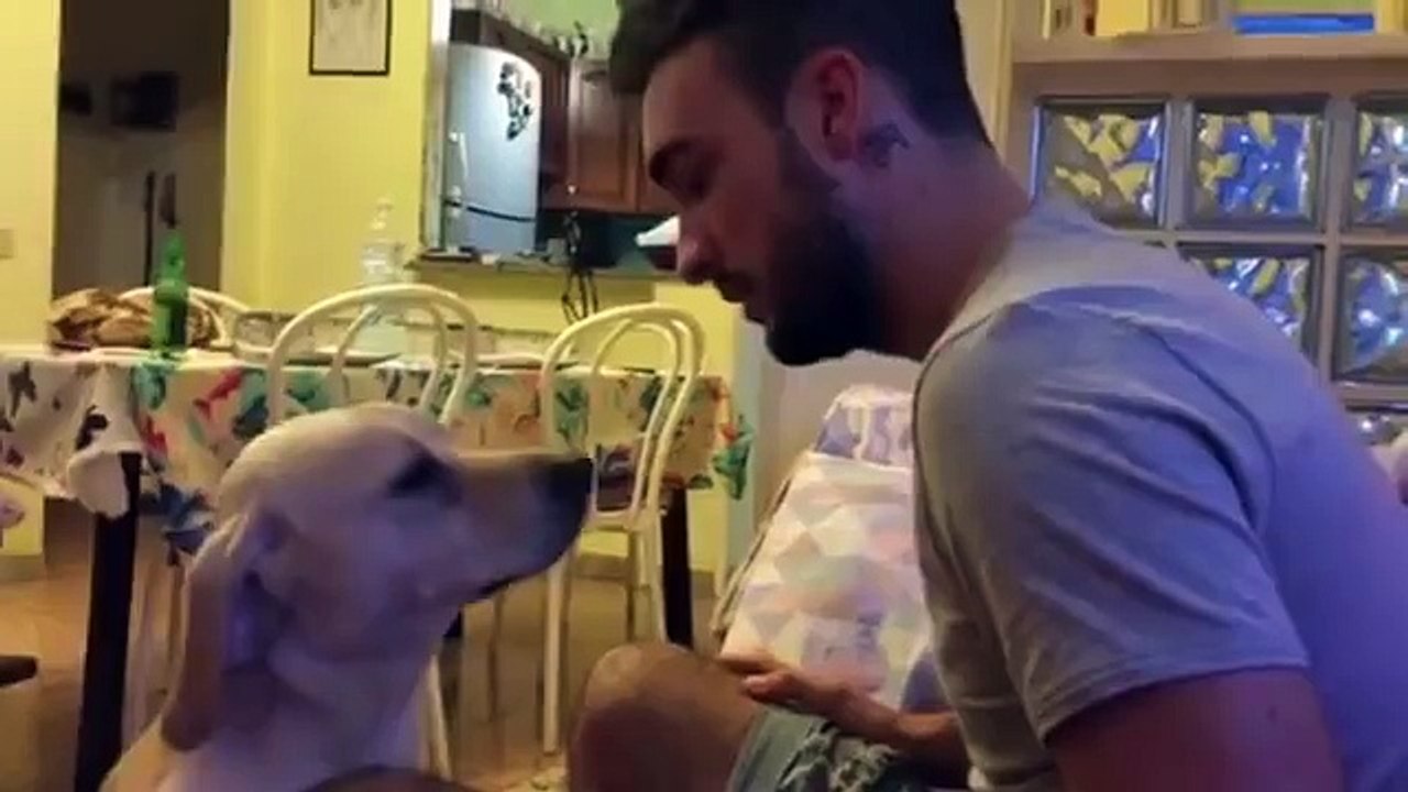 How can you not forgive him