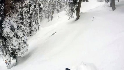 Rare Snow leopard captured on video by skiiers in India