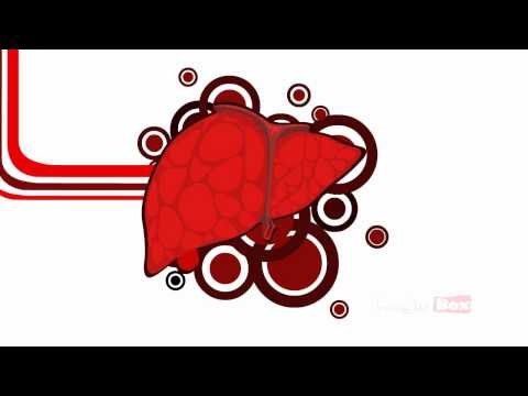 Body Parts Title - Human Body Parts - Pre School - Animated Videos For Kids