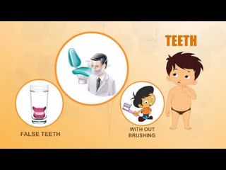 Teeth - Human Body Parts - Pre School - Animated Videos For Kids