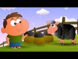 Baa Baa Black Sheep - English Nursery Rhymes - Cartoon And Animated Rhymes