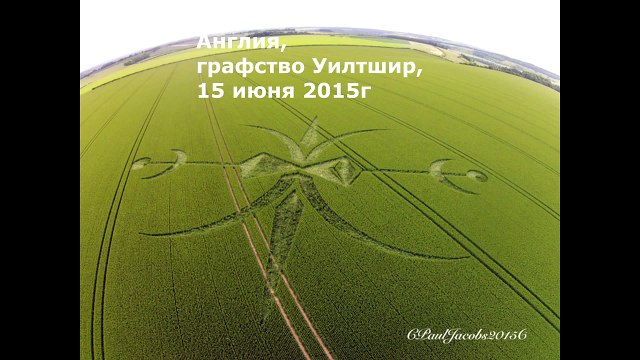 Рисунки на полях. Англия, графство Уилтшир, 15 июня 2015г