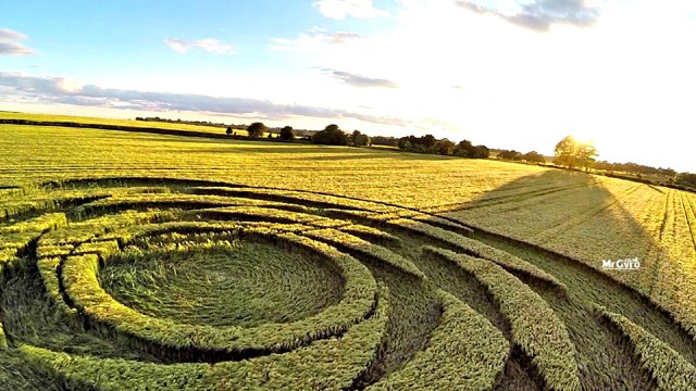 Рисунки на полях. Англия, Уффкот, Уилтшир, 22 июня 2015 года