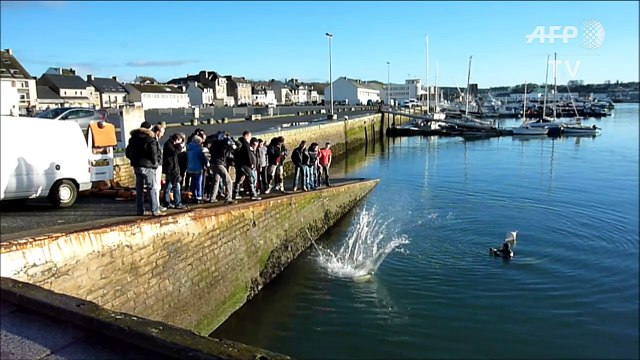 Stage de survie en mer à Concarneau pour aider les réfugiés