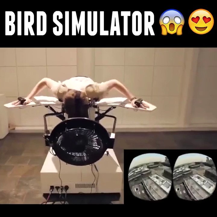 WOW! Bird Simulator-Prank,Comedy,Entertainment,Fun