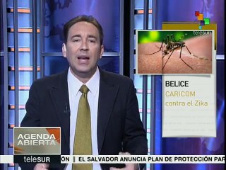 Miembros de la Caricom debatirán sobre la alerta por el Zika