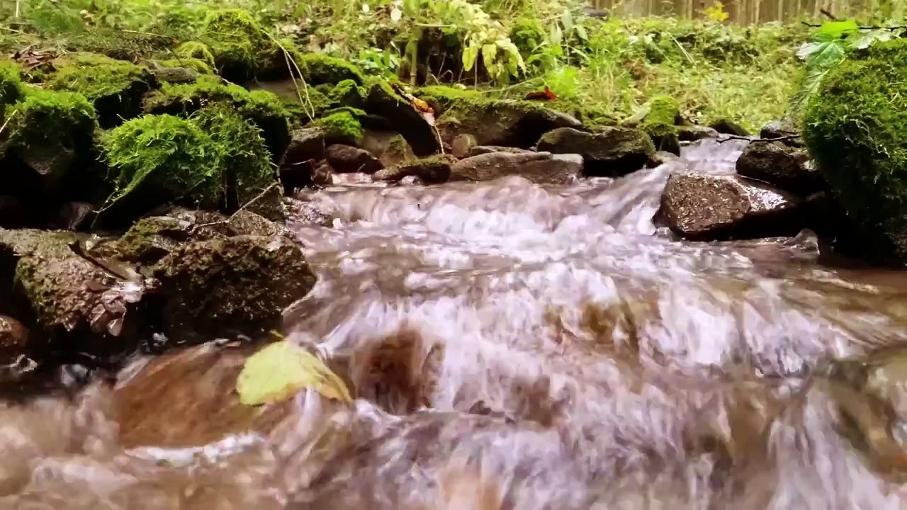 Осень в 4К