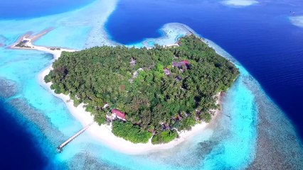 Прекрасные Мальдивы в 4К!