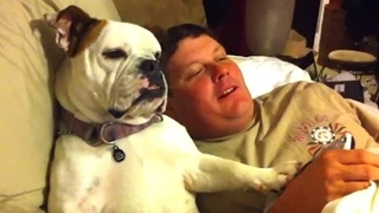 Top 10 Funny Dog Videos Compilation 2016 [NEW HD]