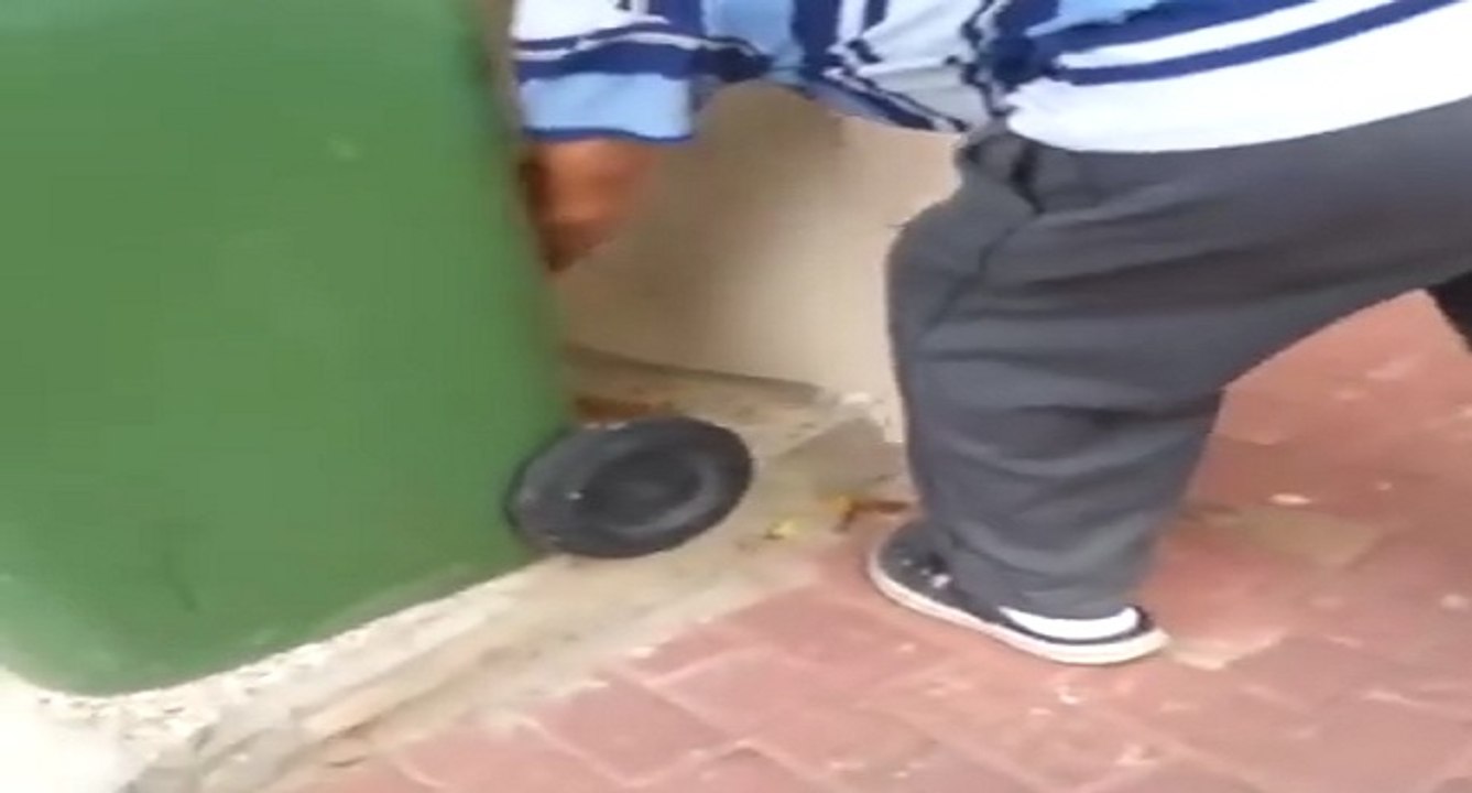 Le sauvetage d'un chat avec une bouteille sur la tête