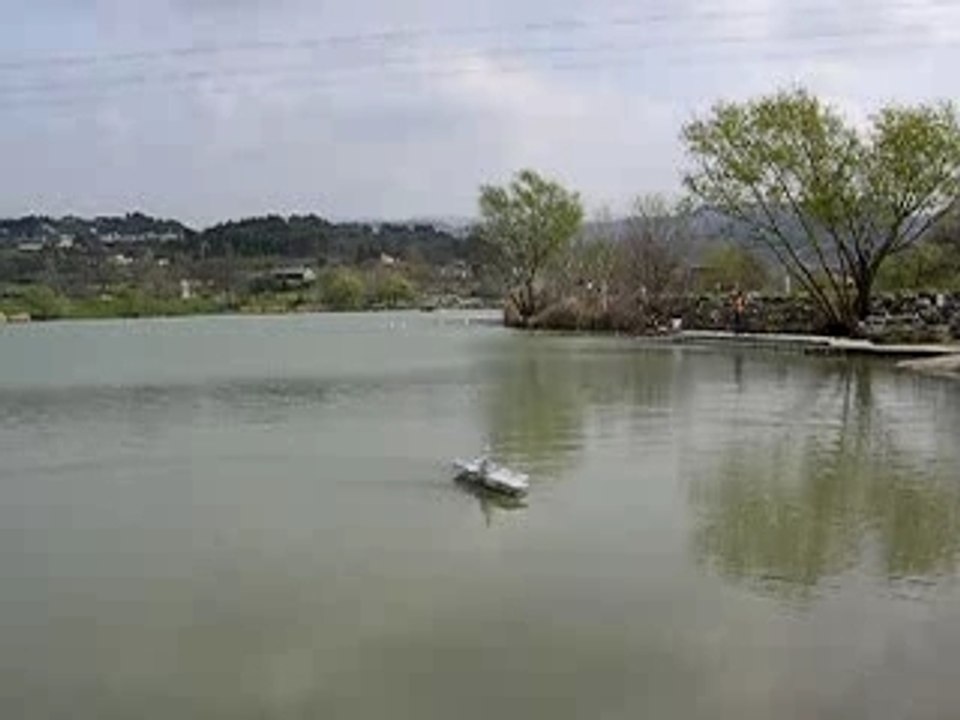 DSCN3037