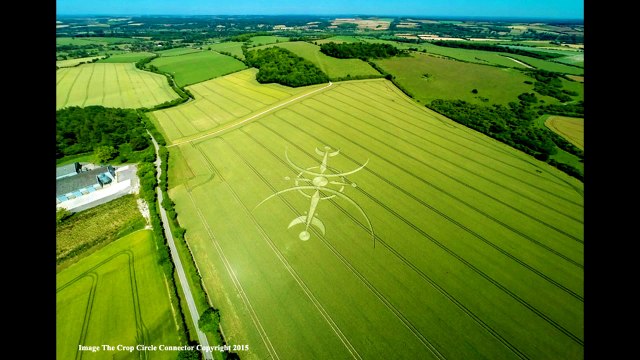 Рисунки на полях. Англия. Уилтшир. 6 июля 2015г