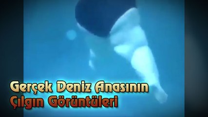 Gerçek Deniz Anasının Çılgın Görüntüleri
