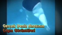 Gerçek Deniz Anasının Çılgın Görüntüleri