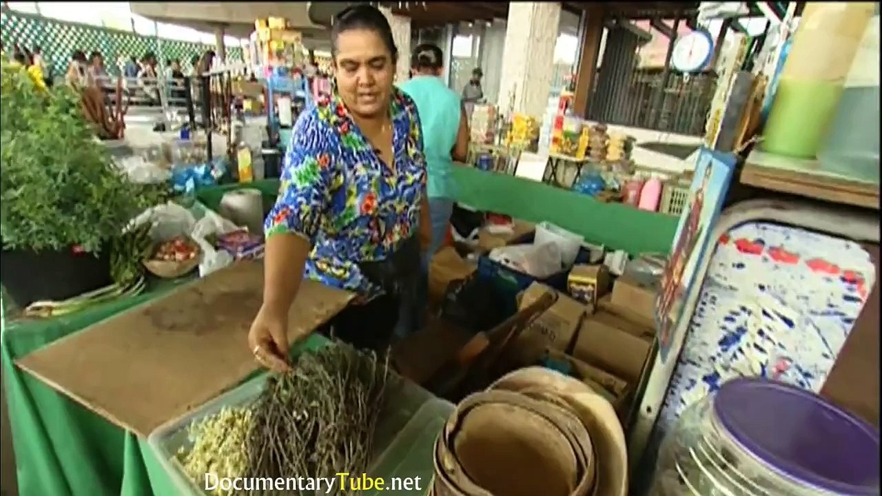 ANCIENT KNOWLEDGE: Secrets of Herbal Medicines (1080p)
