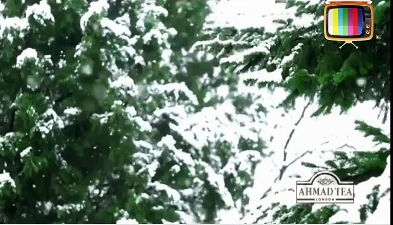Ahmad tea advertising - Ахмад чай реклама - Родинне коло