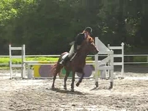 Enora et kosk CSO CR CCE D1c Langonnet