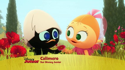 Calimero, nouvelle série - Le petit poussin au grand coeur !