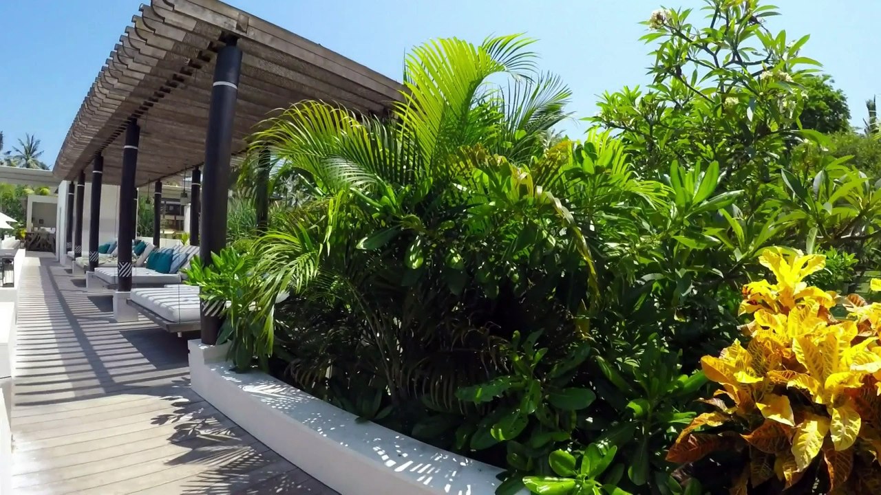 bali