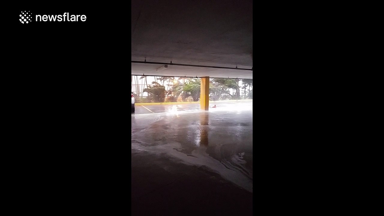 Crazy storm hits Florida amid tornado warnings