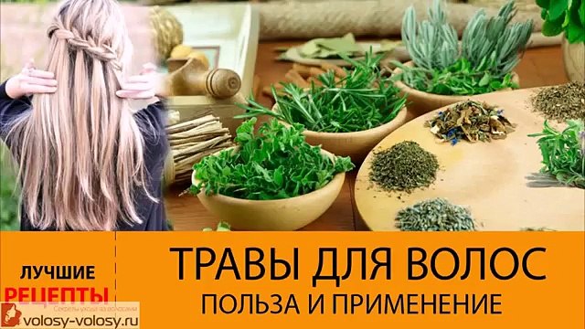Травы для волос. Как ПРИМЕНЯТЬ травы для волос