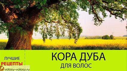 Кора дуба для волос. ОТВАР коры дуба для волос. Маски для волос с корой дуба