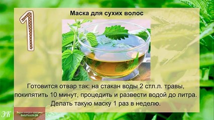 Крапивная маска для волос. ЛУЧШИЕ рецепты крапивных масок для волос
