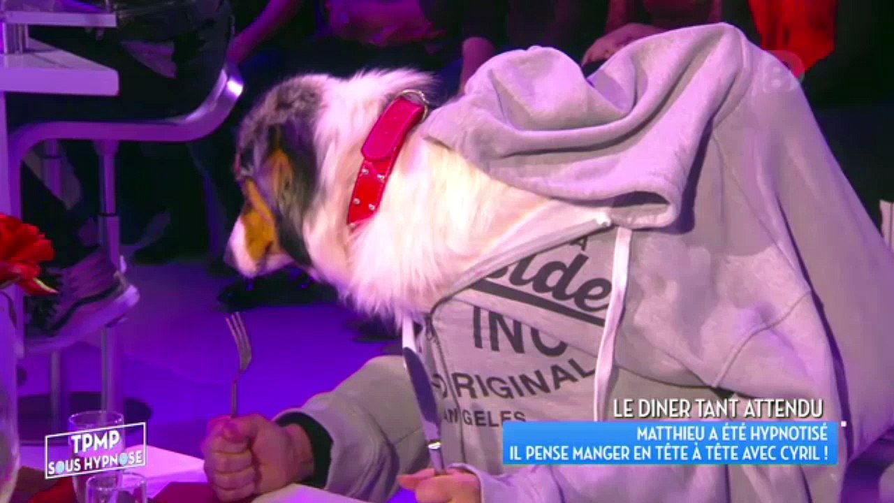 TPMP - On a frôlé le drame avec ce chien