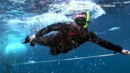 Sculptor creates amazing underwater sculptures