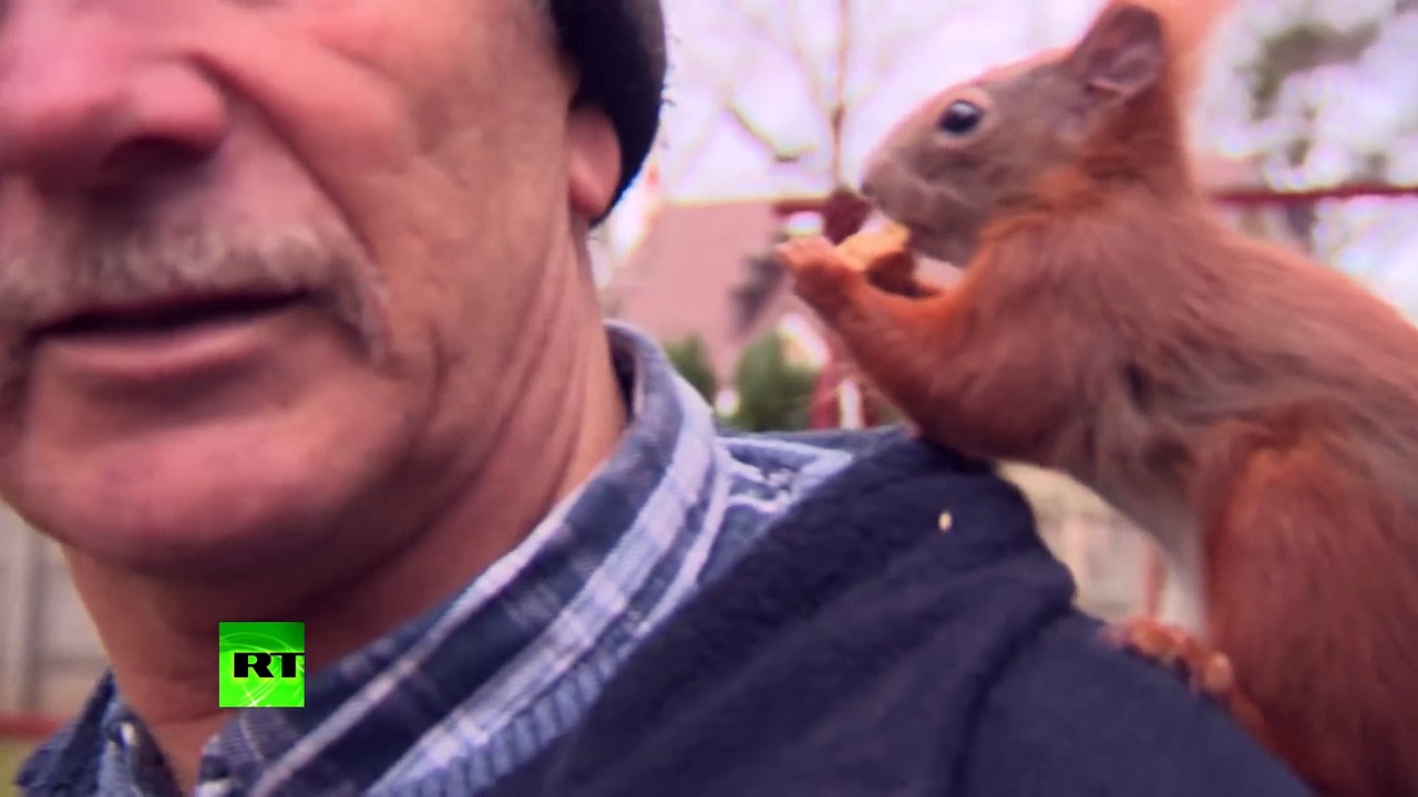 Un homme et un écureuil sont inséparables... Me...