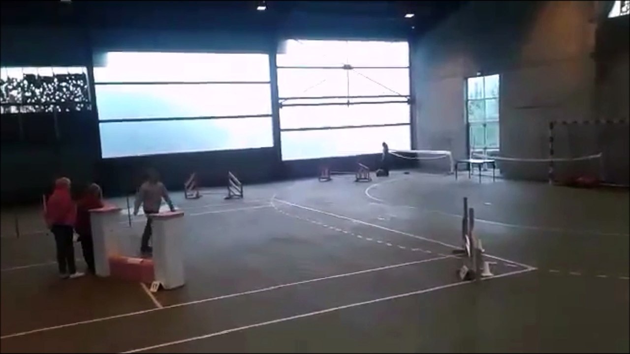 Iona - Agility