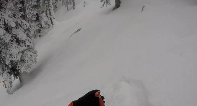 Rare : les images d'un léopard des neiges capturées dans une vidéo par des skieurs en Inde