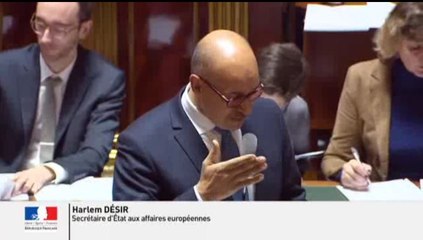 QAG - Position de la France sur le "Brexit" au prochain Conseil européen - Réponse d'H. Désir à D. Raoul - Sénat