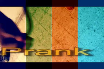 Funny Video Funny Pranks by Animal Amazing Video Must Watch You Will Go Crazy