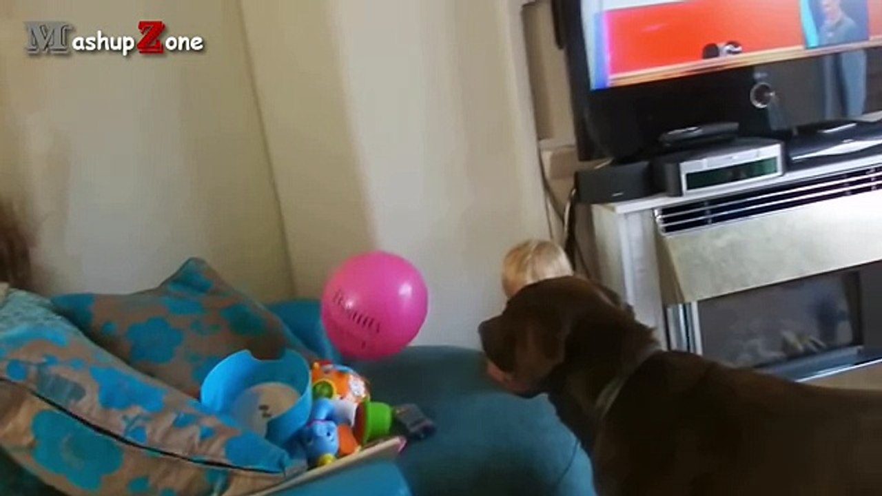 Funny And Cute Babies Laughing Hysterically At Dogs Compilation -- NEW HD