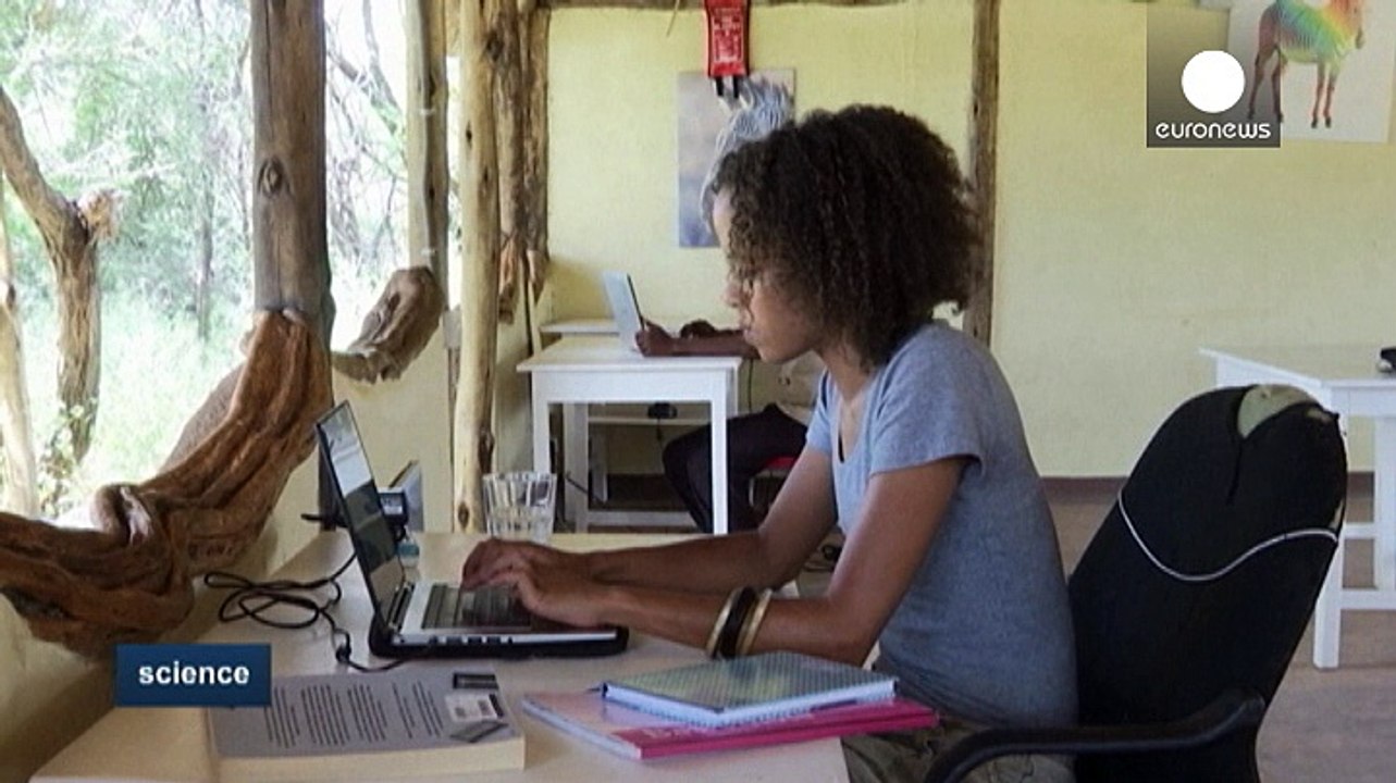 Citizens and scientists earn their stripes counting Kenya's Grevy's zebras
