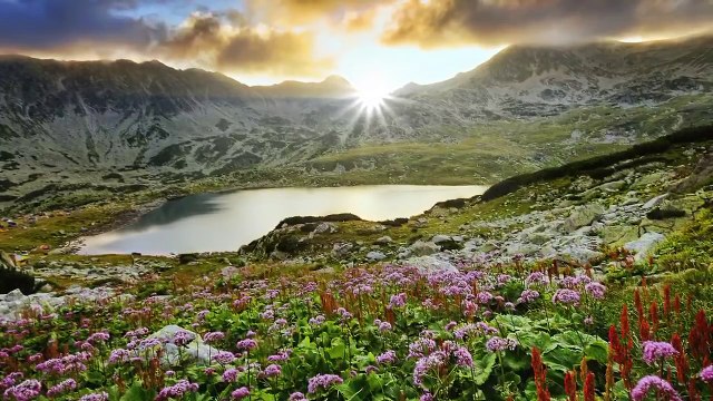 30 Minute Deep Sleep Music: Delta Waves, Relaxing Music Sleep, Sleeping Music, Sleeping Mu