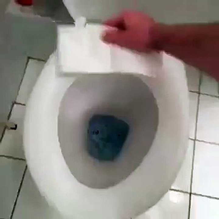 See What He is Doing in Toilet