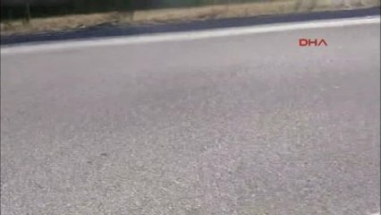 İzmir Hafif Ticari Araç Tır'a Çarptı: 1 Ölü