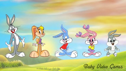 Cartoon Songs for Baby - Finger Family Nursery Rhymes