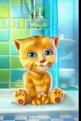 Punjabi Billi funny Talking Funny Video