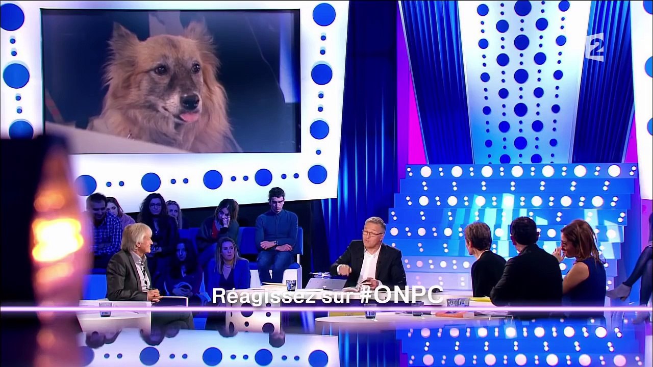 Dave et Patrick Loiseau - On nest pas couché 13 février 2016 #ONPC