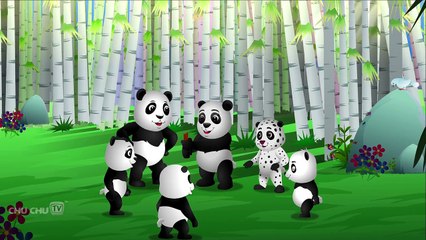 Finger Family Panda Animal Finger Family Songs & Nursery Rhymes For Children