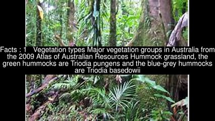 Vegetation types of Flora of Australia Top 15 Facts.mp4 (Funny Videos 720p)
