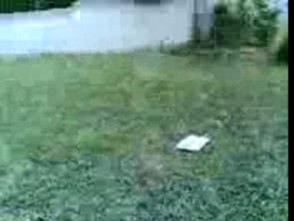 Tir au patator