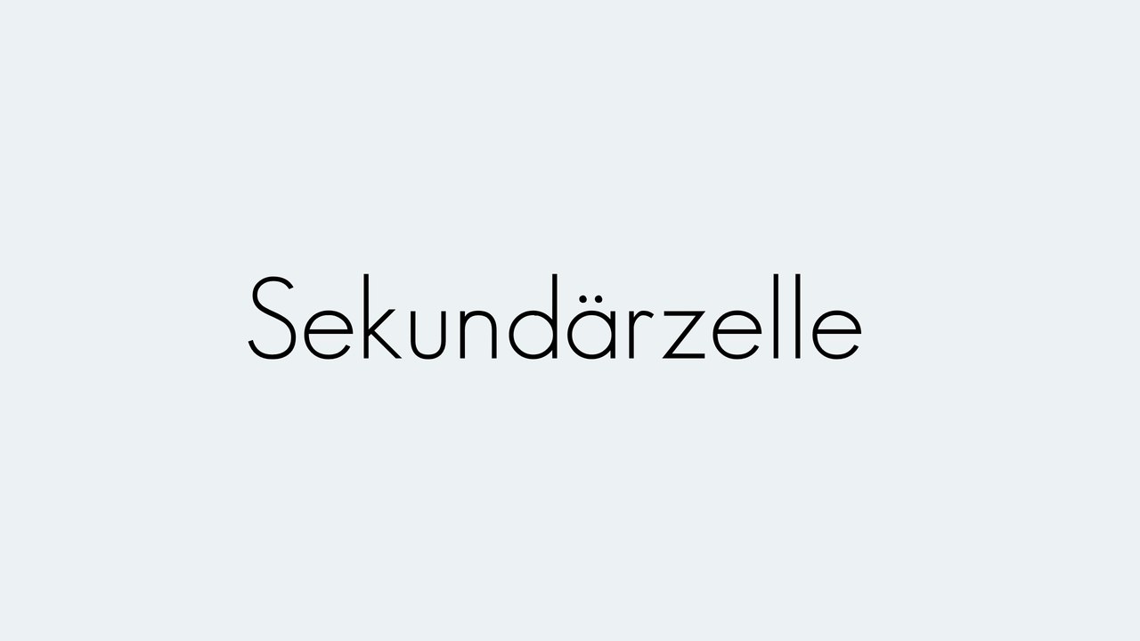 Sekundärzelle | Grundbegriffe | Begriffserklärung